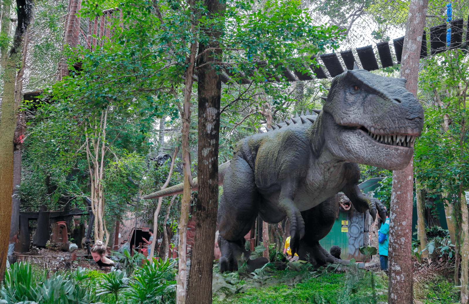 Projeto que proíbe zoológicos e aquários movimenta participação popular na Câmara em setembro