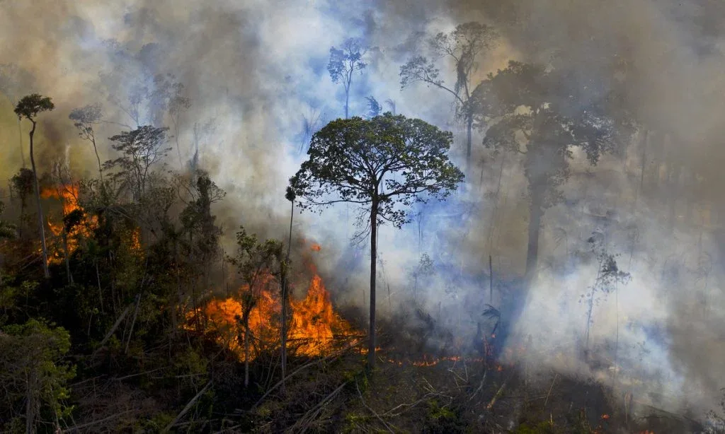 Floresta amazônica